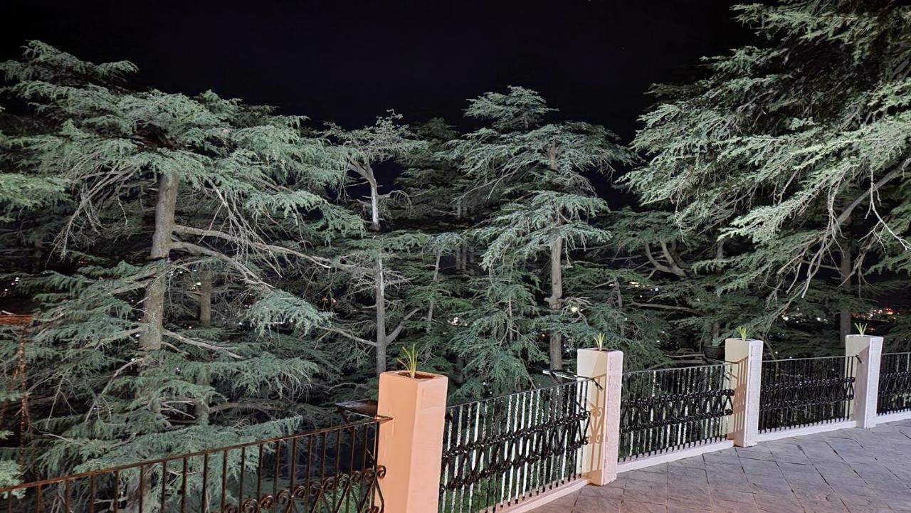 Glen View Heritage Homestay شيملا المظهر الخارجي الصورة