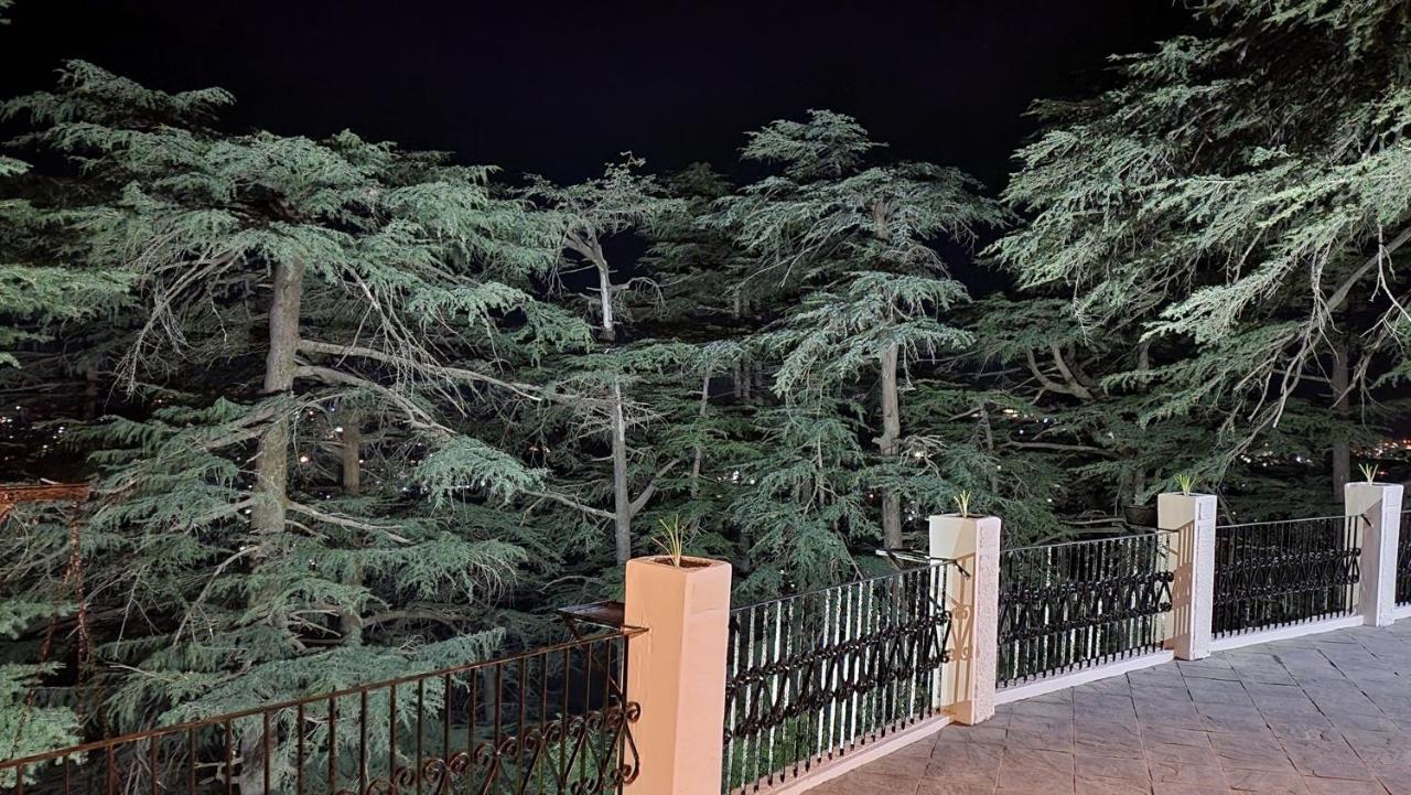 Glen View Heritage Homestay شيملا المظهر الخارجي الصورة