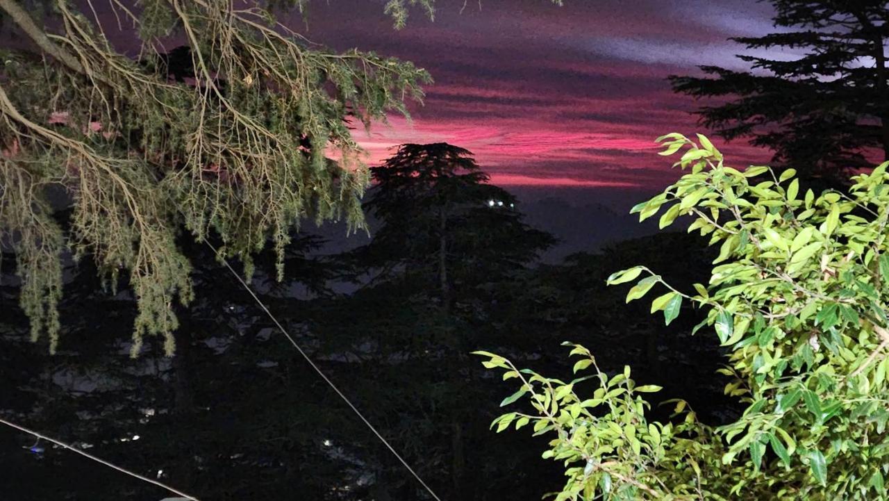 Glen View Heritage Homestay شيملا المظهر الخارجي الصورة
