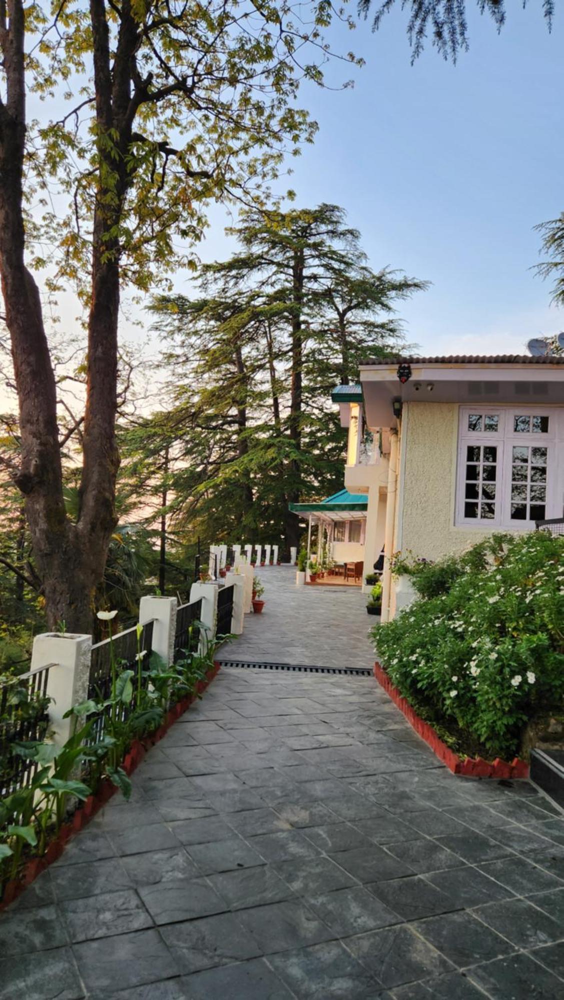Glen View Heritage Homestay شيملا المظهر الخارجي الصورة