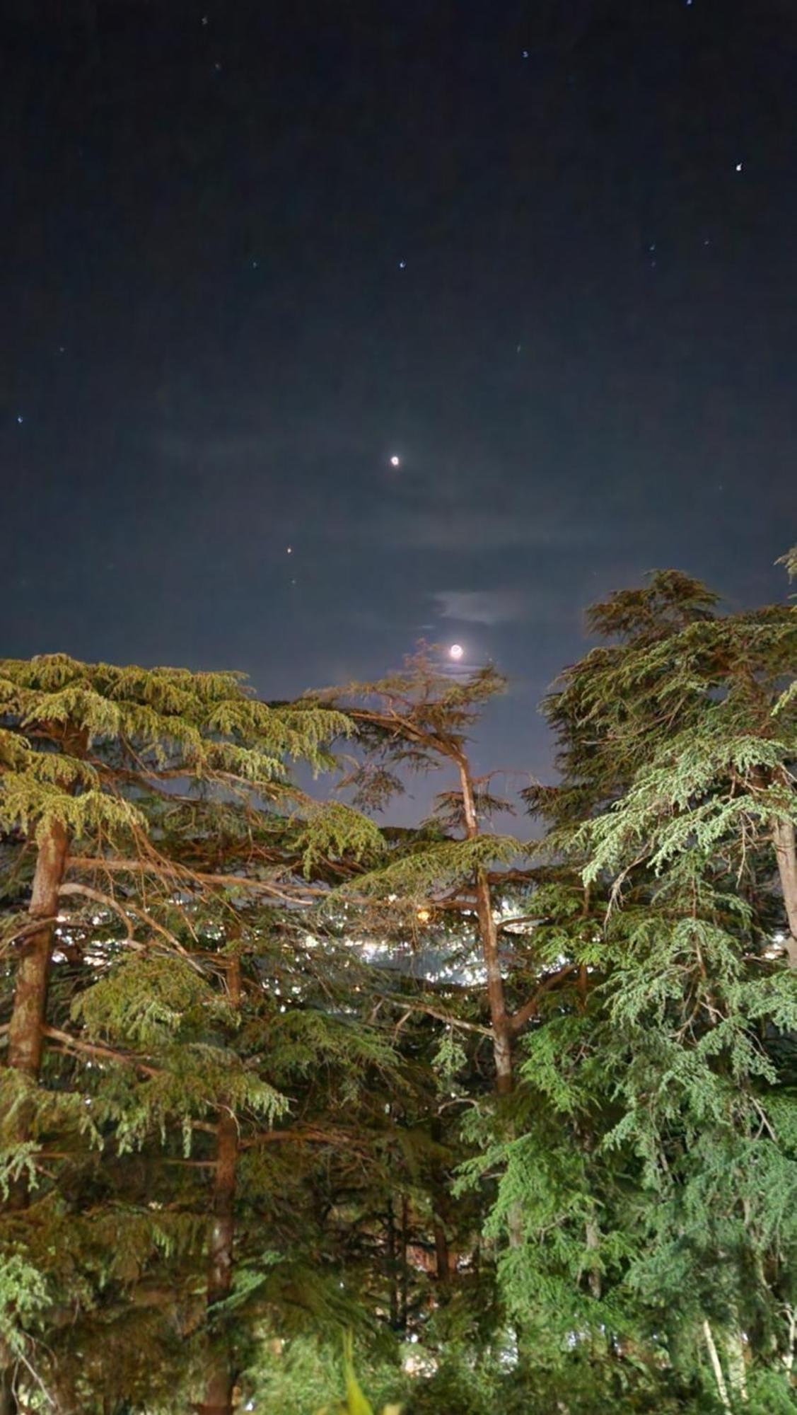 Glen View Heritage Homestay شيملا المظهر الخارجي الصورة