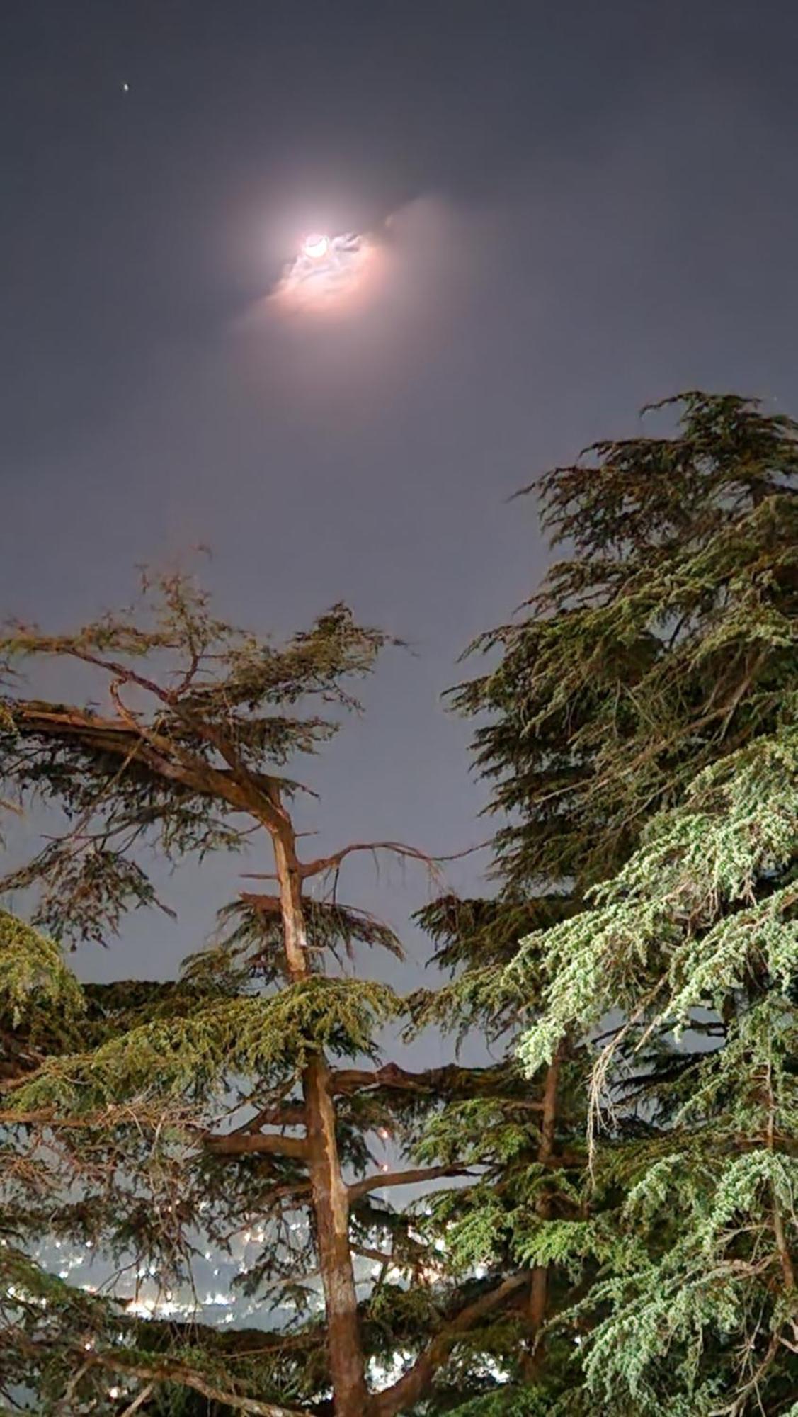 Glen View Heritage Homestay شيملا المظهر الخارجي الصورة